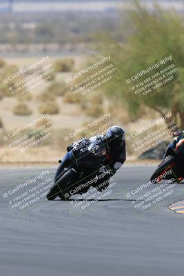 media/May-14-2023-SoCal Trackdays (Sun) [[024eb53b40]]/Turn 5 Tree of Life (1125am)/